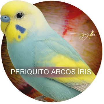 Periquito Arco Íris